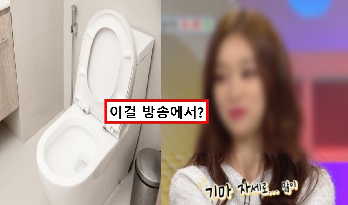 공중화장실 변기 레버 발로 Vs 손으로 갑론을박에 레버 발로 누르는 여성 가수 재조명 