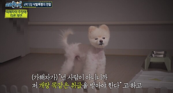 바리깡 폭행남 신상 공개 위기에 가해자 부모 반응은?&nbsp; / 사진=MBC