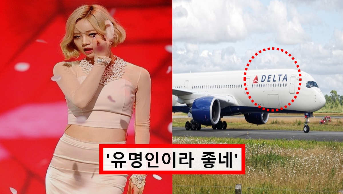 "일반인이었으면 과연".. 델타 항공 갑질 폭로한 '혜리' 결국 항공사에서 즉각 대응 나섰다