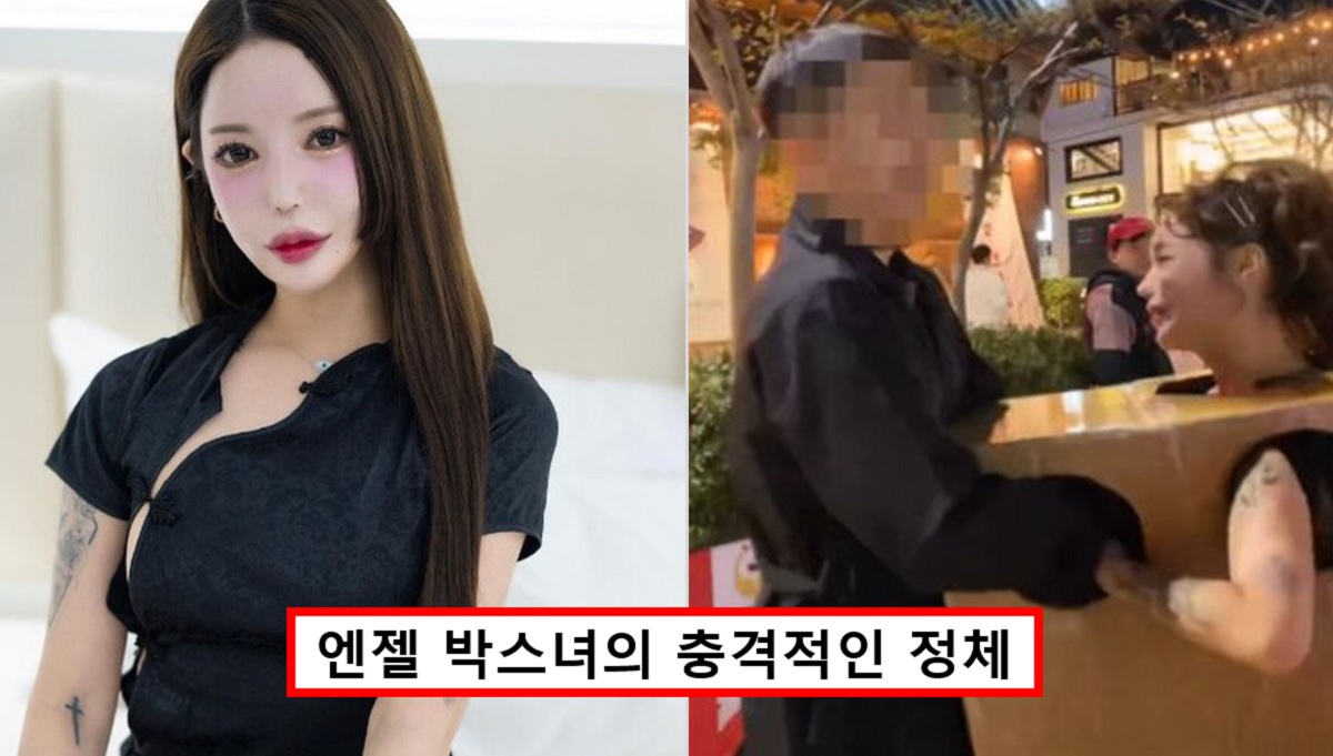 "과거 직업 창피하지 않아".. 압구정 박스녀 이번엔 홍대에 등장.. 결국 공연음란죄로 입건됐다