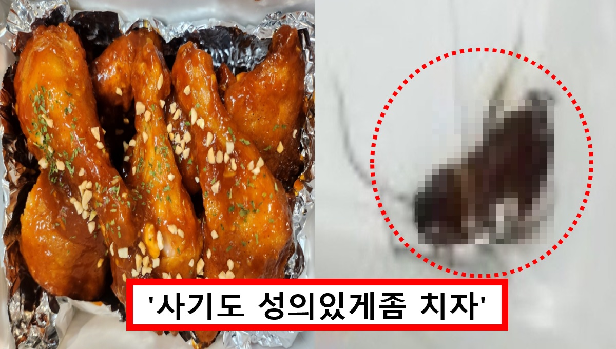 "양념치킨에서 바퀴벌레가".. 역대급 배달거지가 보내온 사진 공개되자 모두 경악했다