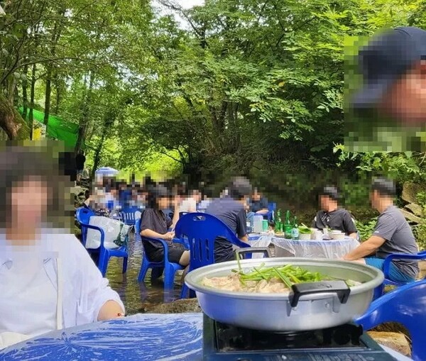 진천 계곡식당 불법영업 논란.. 업주 정체에 모두 경악했다 < 사회 < 기사본문 - 원픽뉴스 알고 보니 정치인.. 진천 계곡식당 불법영업 논란.. 업주... 