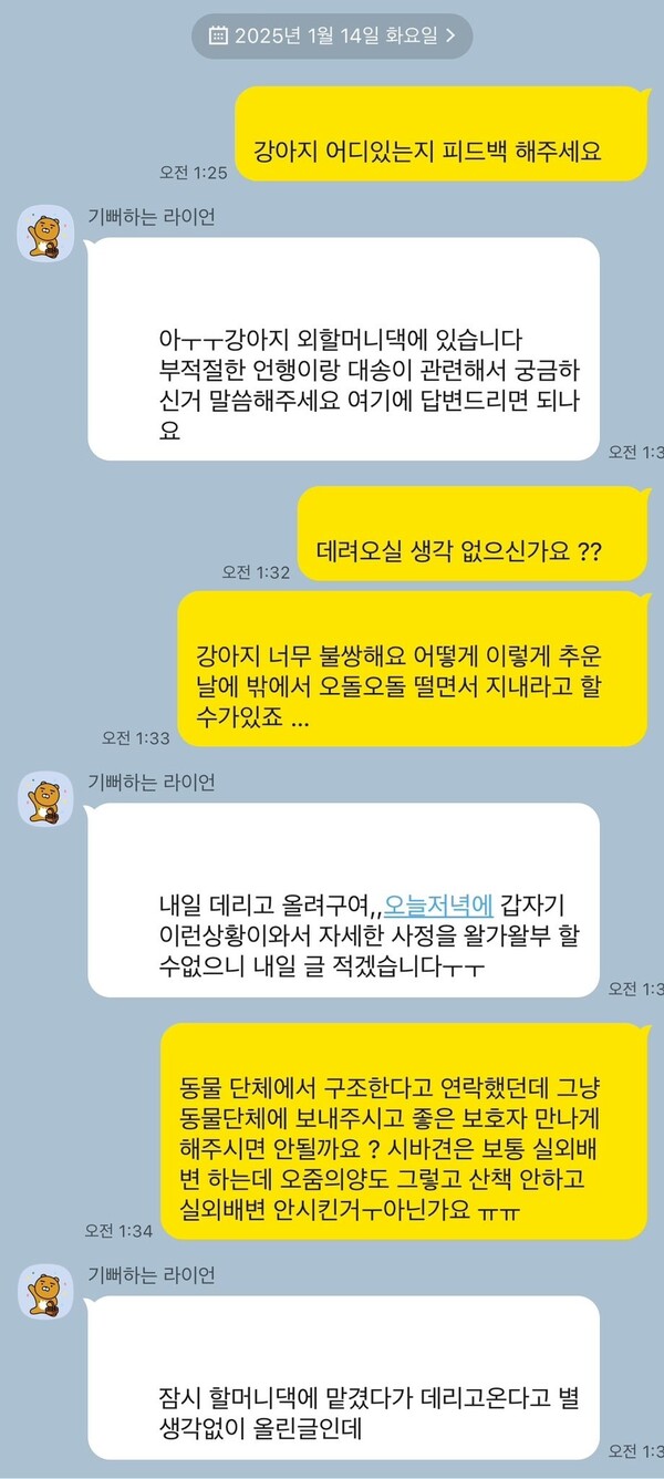 현대해상 펫보험 키즈모델 시바견 파양 논란